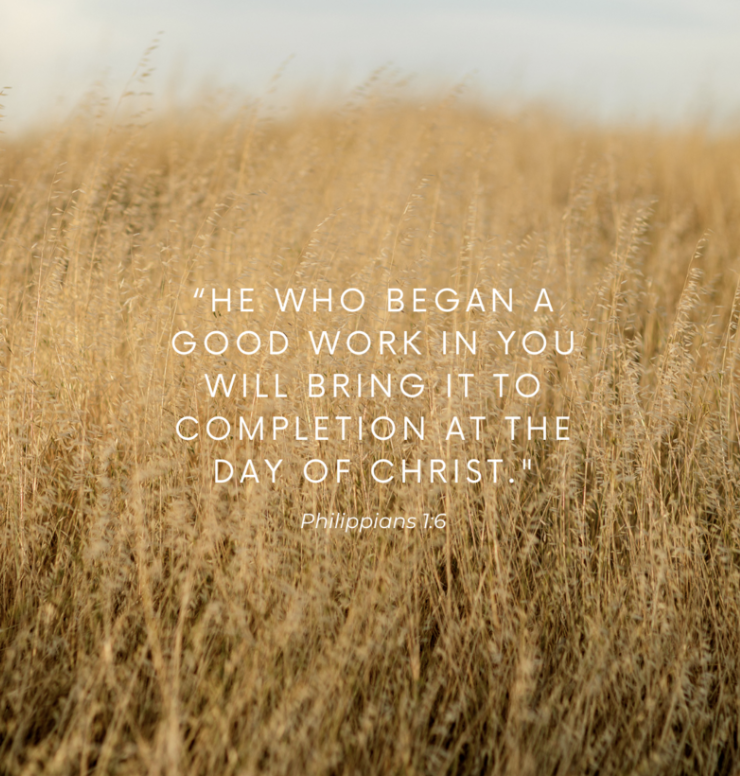 Philippians Memory Verse Lock Screens
