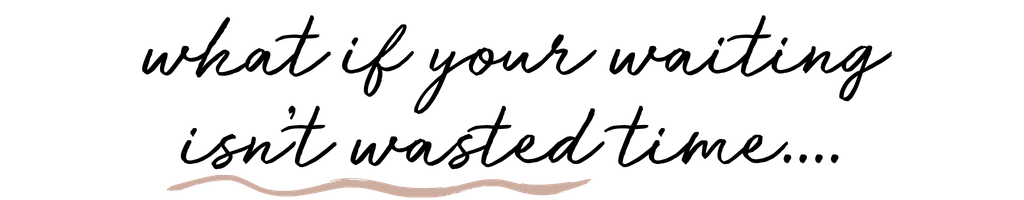 Line drawing of a cypress tree with a squirrel climbing on its trunk.