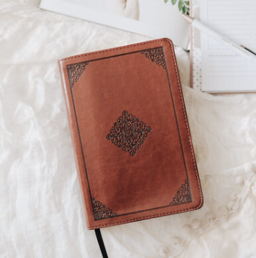 ESV Study Bible