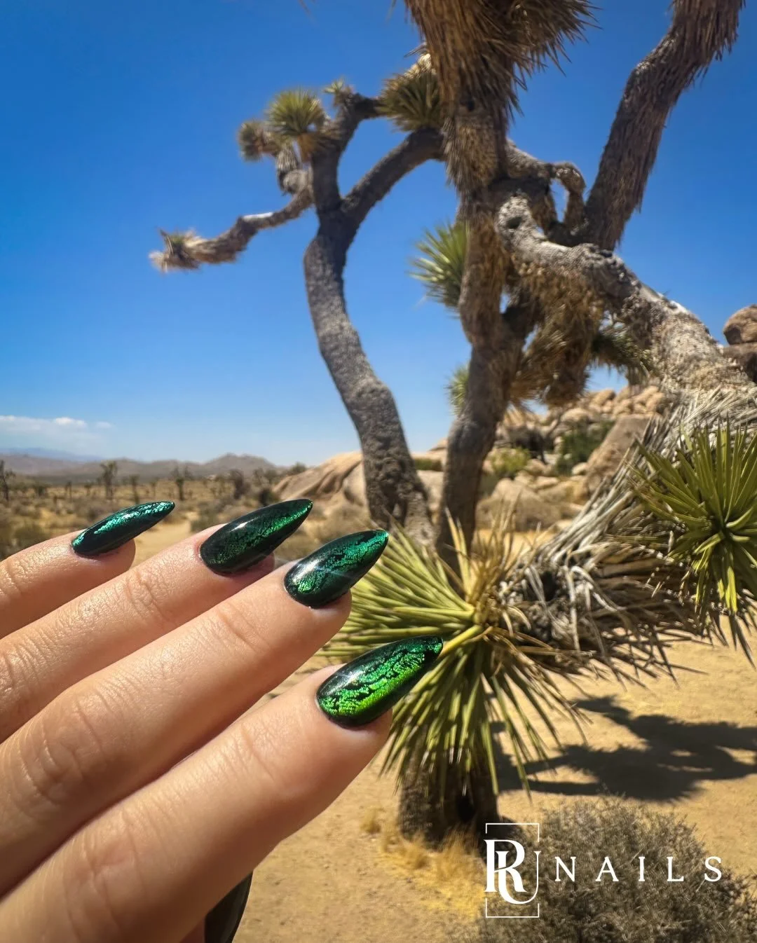 🌵 Warning! As the weather warms up, a rare species of wild RU NAILS nails is being spotted more frequently throughout the wild landscapes of Southern California 🦎

This specimen is known for its rich emerald coloration and distinctive shimmer, whic