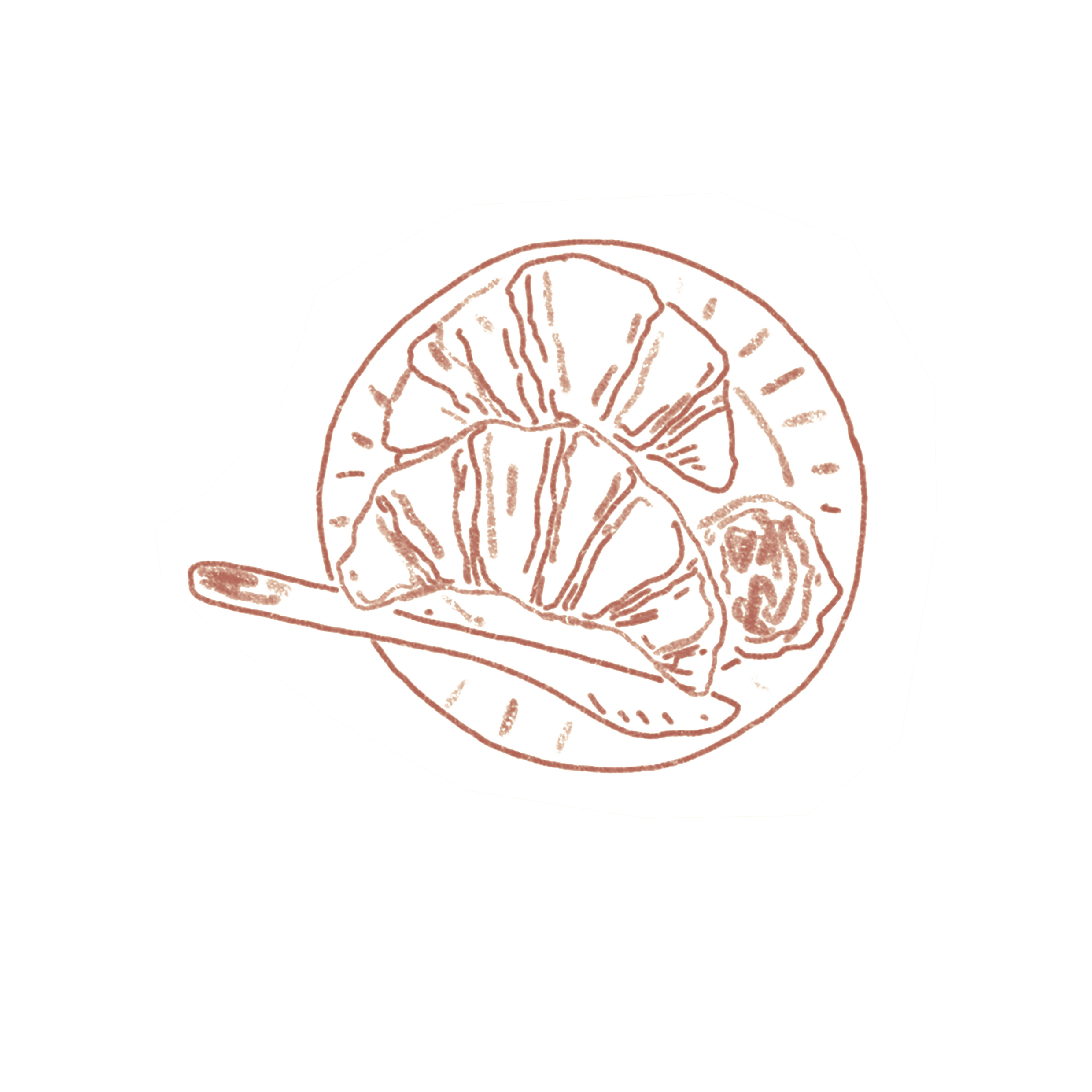 Diagram of the human brain. Outline drawing showing different regions of the brain labeled with connecting lines.
