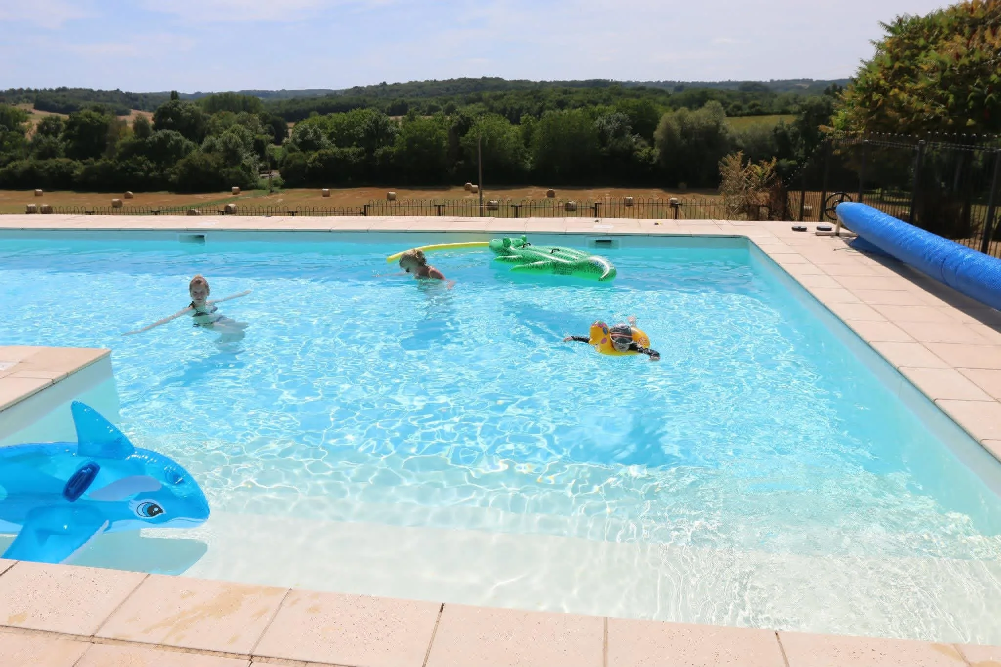 Children swimming in a backyard pool with inflatable toys and a scenic view of trees and fields in the background.