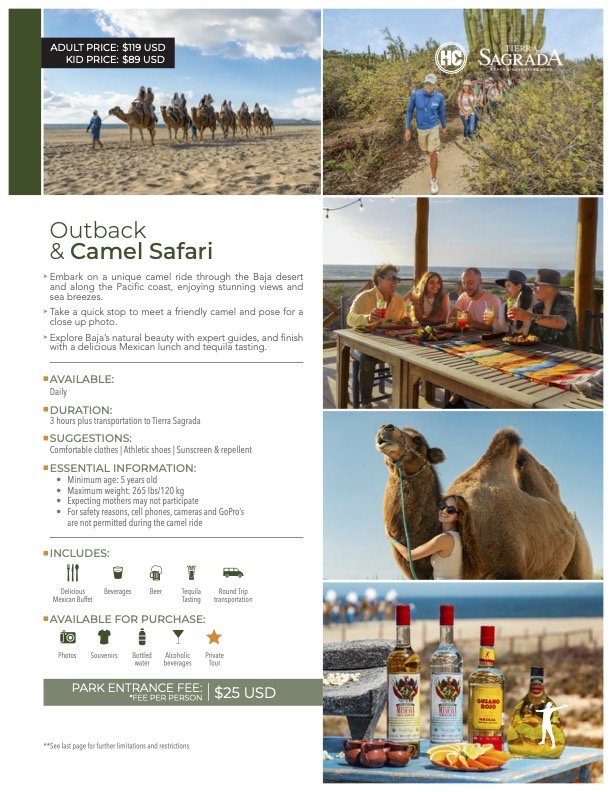 A flyer for an outback and camel safari tour featuring images of camels on a beach, people hiking through a desert landscape, a group dining at a beachside table, a woman petting a camel, and bottles of tequila with lime and salt.