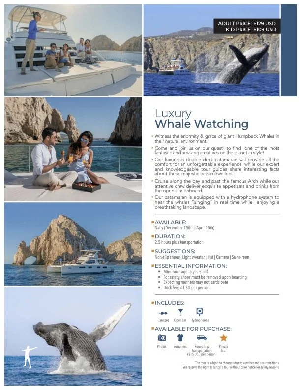 A brochure or advertisement for a luxury whale-watching tour. The image shows a boat with tourists and a guide, a whale breaching out of the water, a couple enjoying drinks on the boat deck with spectacular cliffs in the background, and a whale jumping out of the water with the boat nearby.