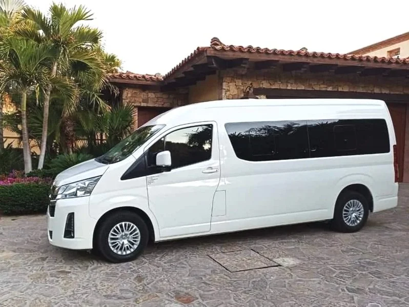 white passenger van parked in front of a house with palm trees and stone exterior walls
