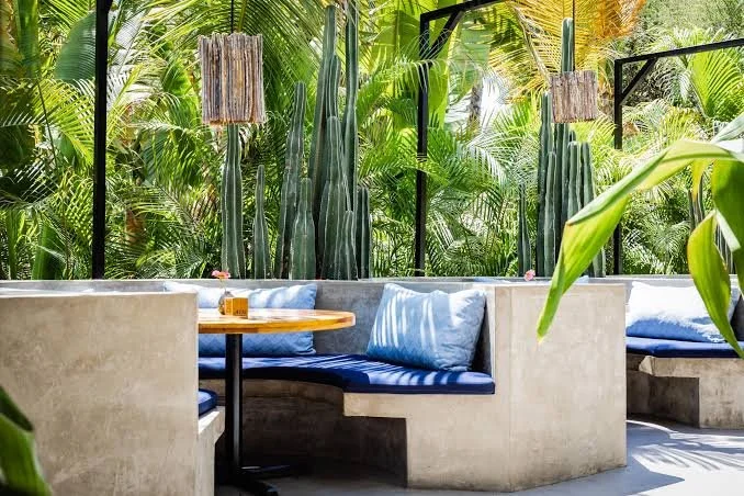Acre outdoor restaurant surrounded by palm trees in San José del Cabo