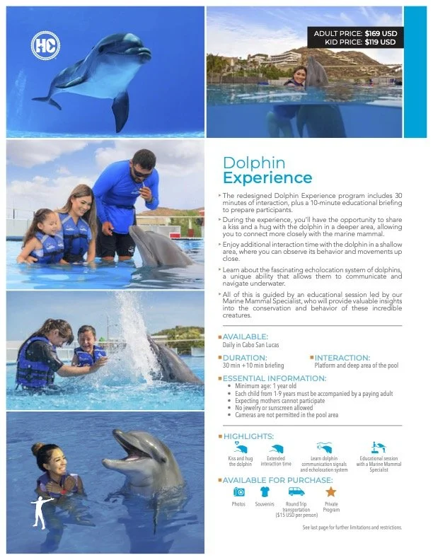 A promotional flyer for Dolphin Experience at a marine park. The flyer features images of dolphins and visitors interacting with them, with details about the program, pricing, schedule, and highlights of the educational and interactive activities.