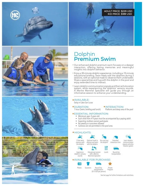 Flyer for Dolphin Premium Swim with images of dolphins and children in a pool, featuring prices, details, and highlights for the experience.