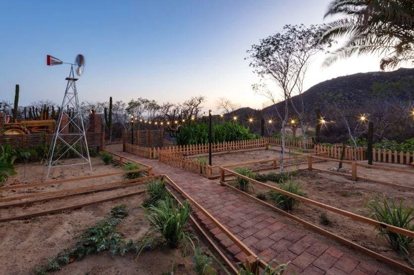 Outdoor garden with raised beds, brick pathways, string lights, windmill, and trees in the background at dusk.