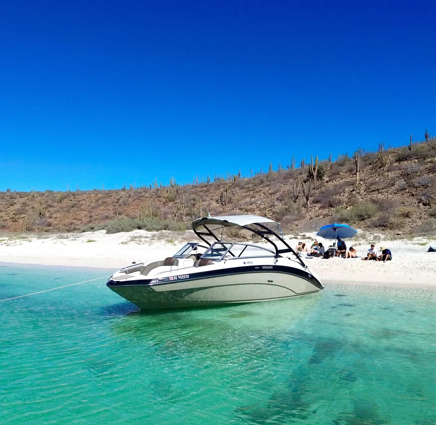 Yacht Charter | Private Yacht Rental in La Paz