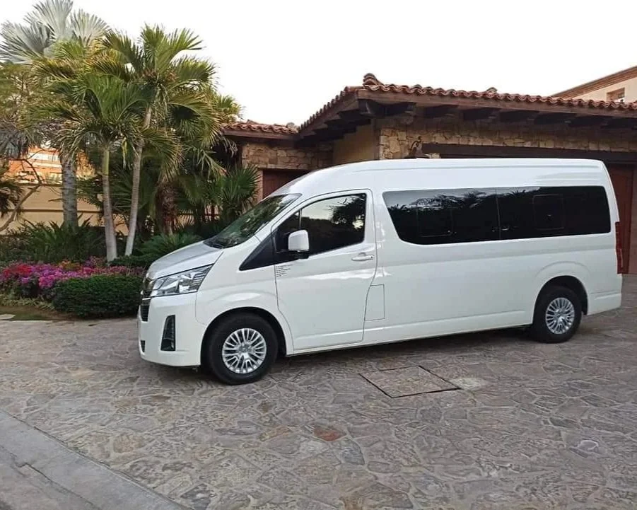A white van parked on a stone driveway in front of a house with a tiled roof and palm trees.