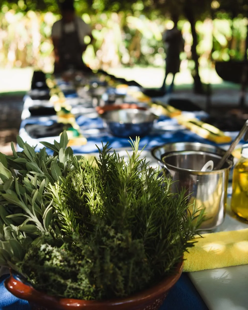 Close-up of a bowl filled with fresh herbs on a table set for an outdoor meal, with a blurred background of a long table and people.