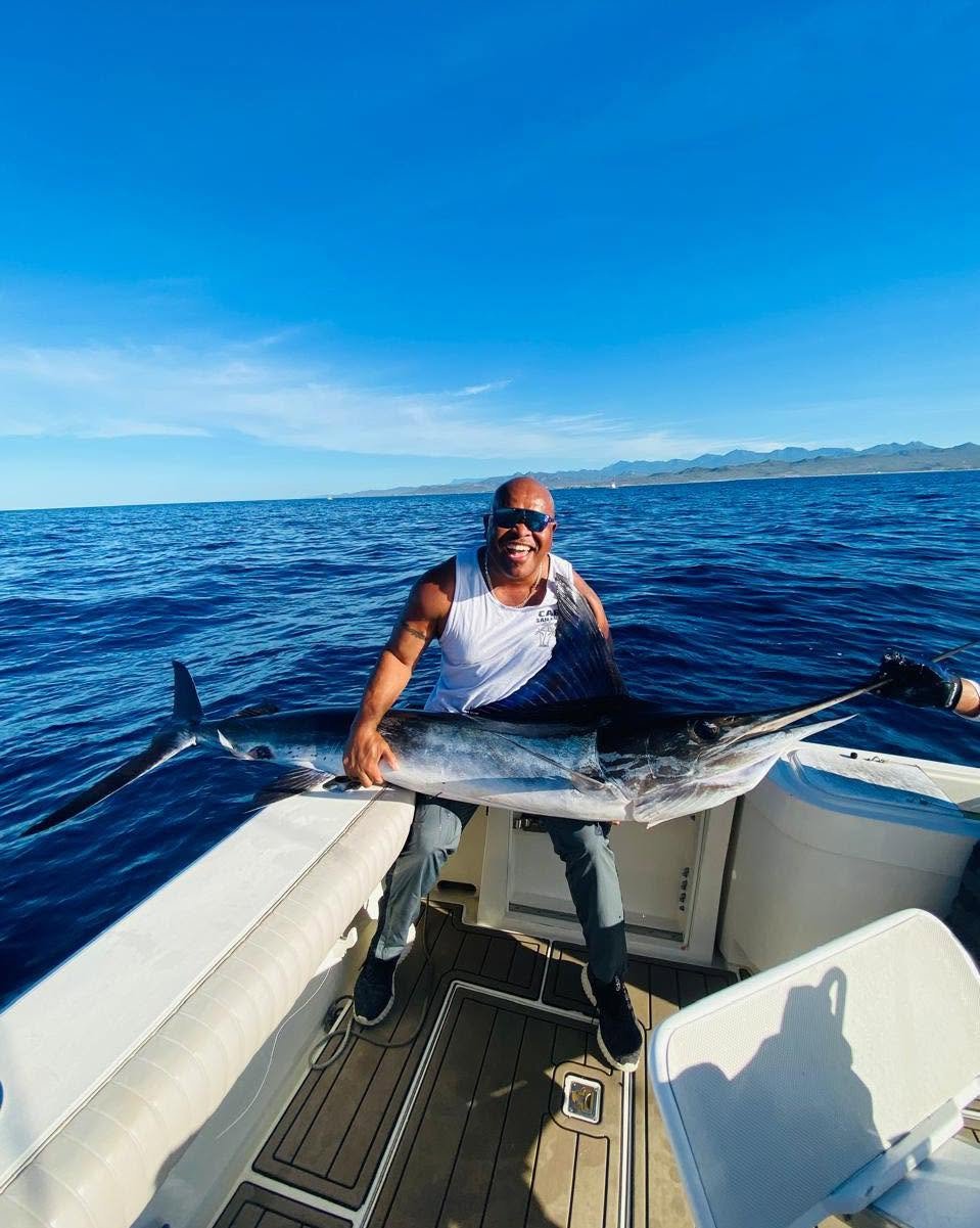 bm14.jpg