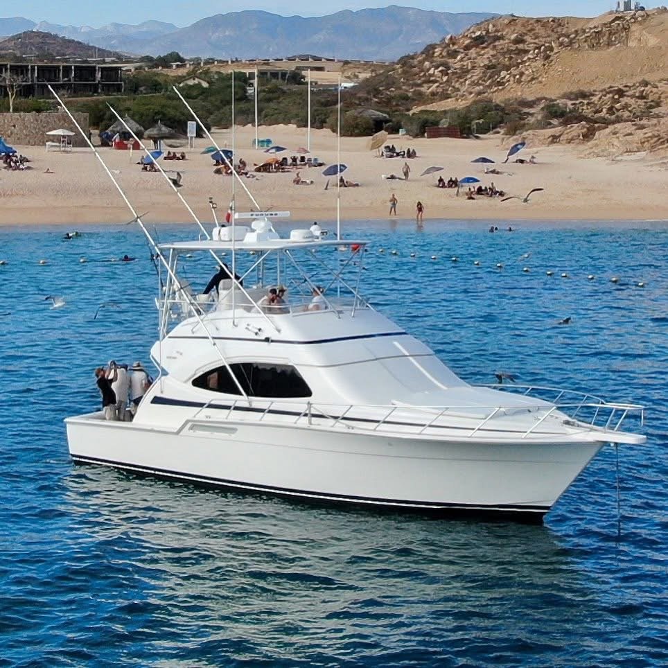 A white yacht anchored near a sandy beach with umbrellas and people relaxing, with mountains in the background.
