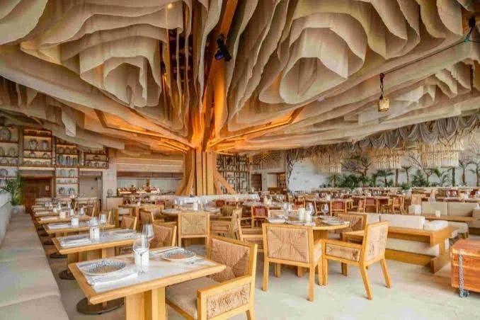 Interior of a restaurant with a wooden tree-like ceiling design, wooden tables and chairs, set with glasses and plates, with plants in the background.