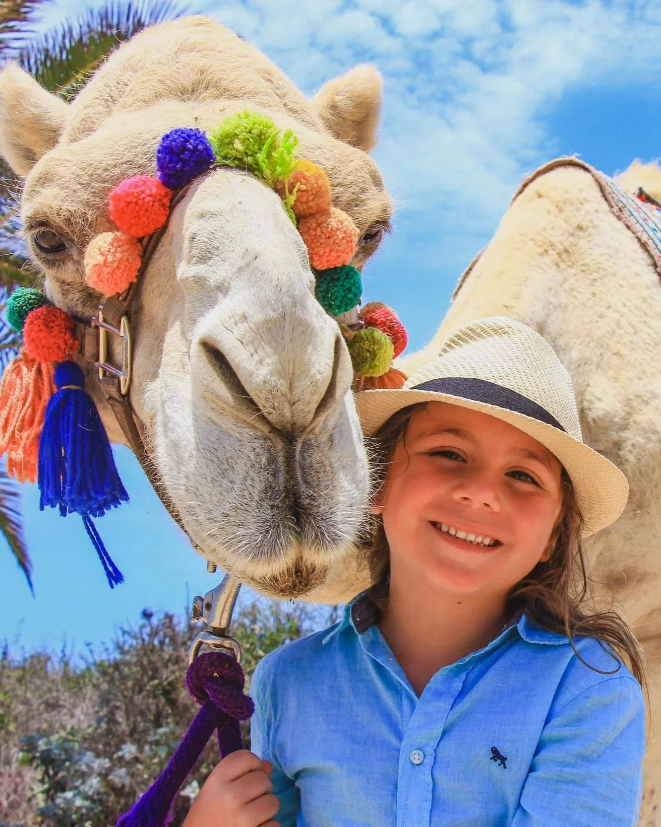 A young girl smiling, wearing a straw hat and a light blue shirt, standing next to a camel decorated with colorful pom-poms around its face, under a blue sky with some clouds.