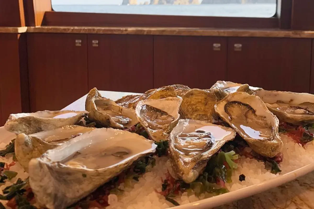 A platter of fresh oysters on ice with a bed of greens, set on a marble table near a window with ocean view.