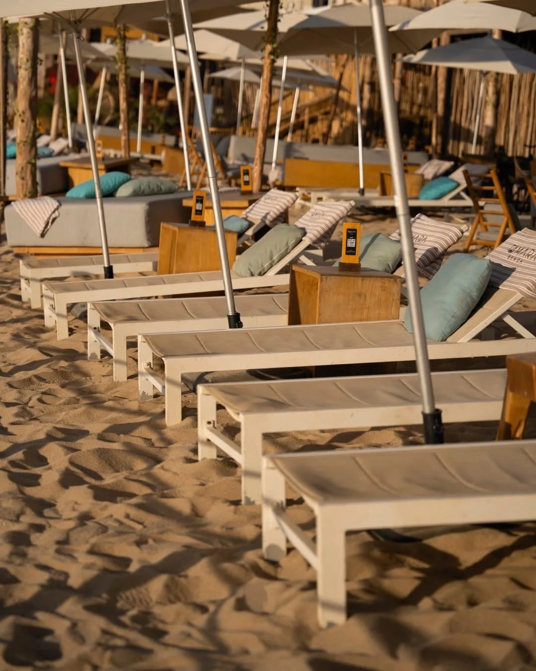 Tamara Beach Club beachfront lounge area in Cabo San Lucas