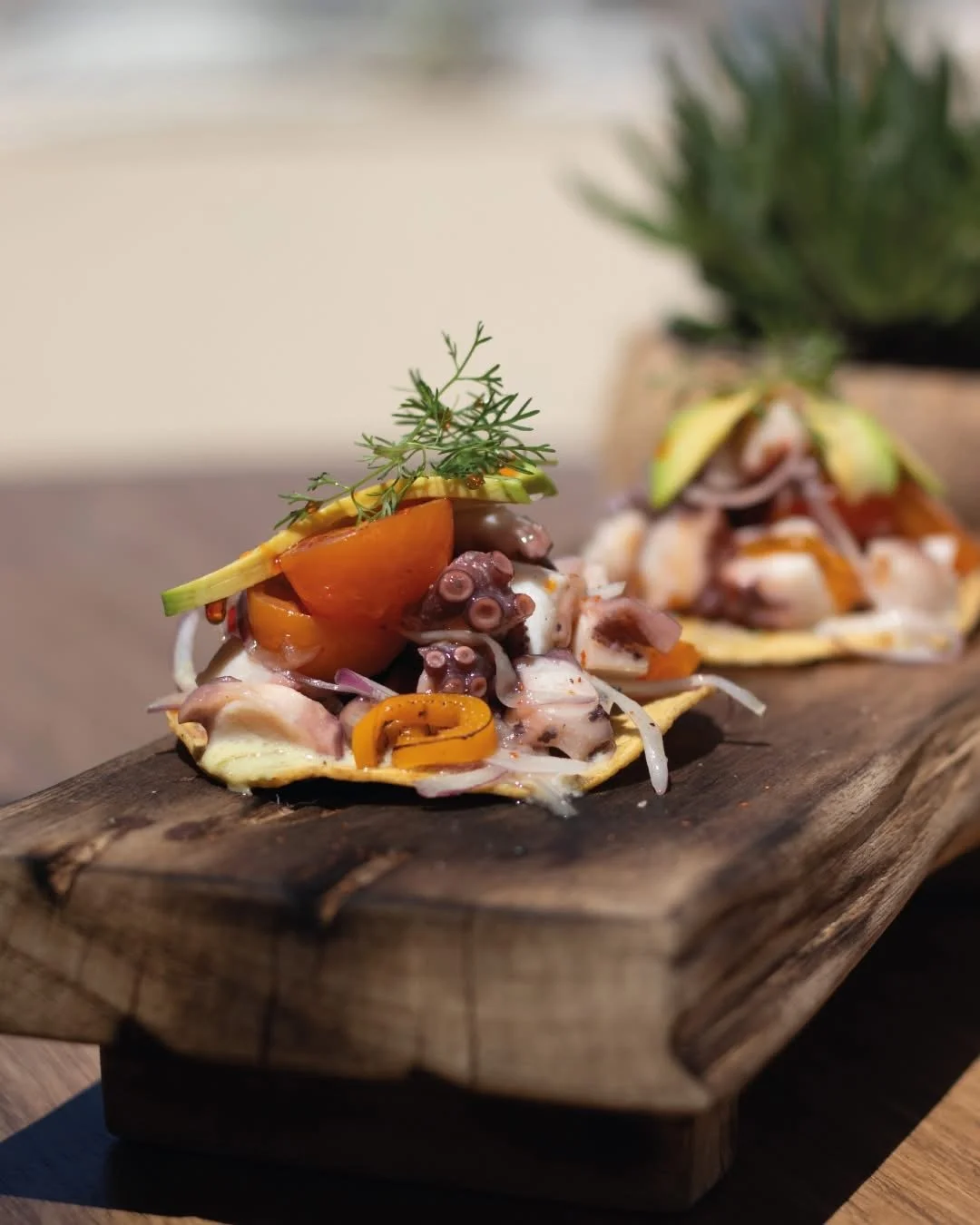 Fresh seafood at Tamara Beach Club in Cabo San Lucas