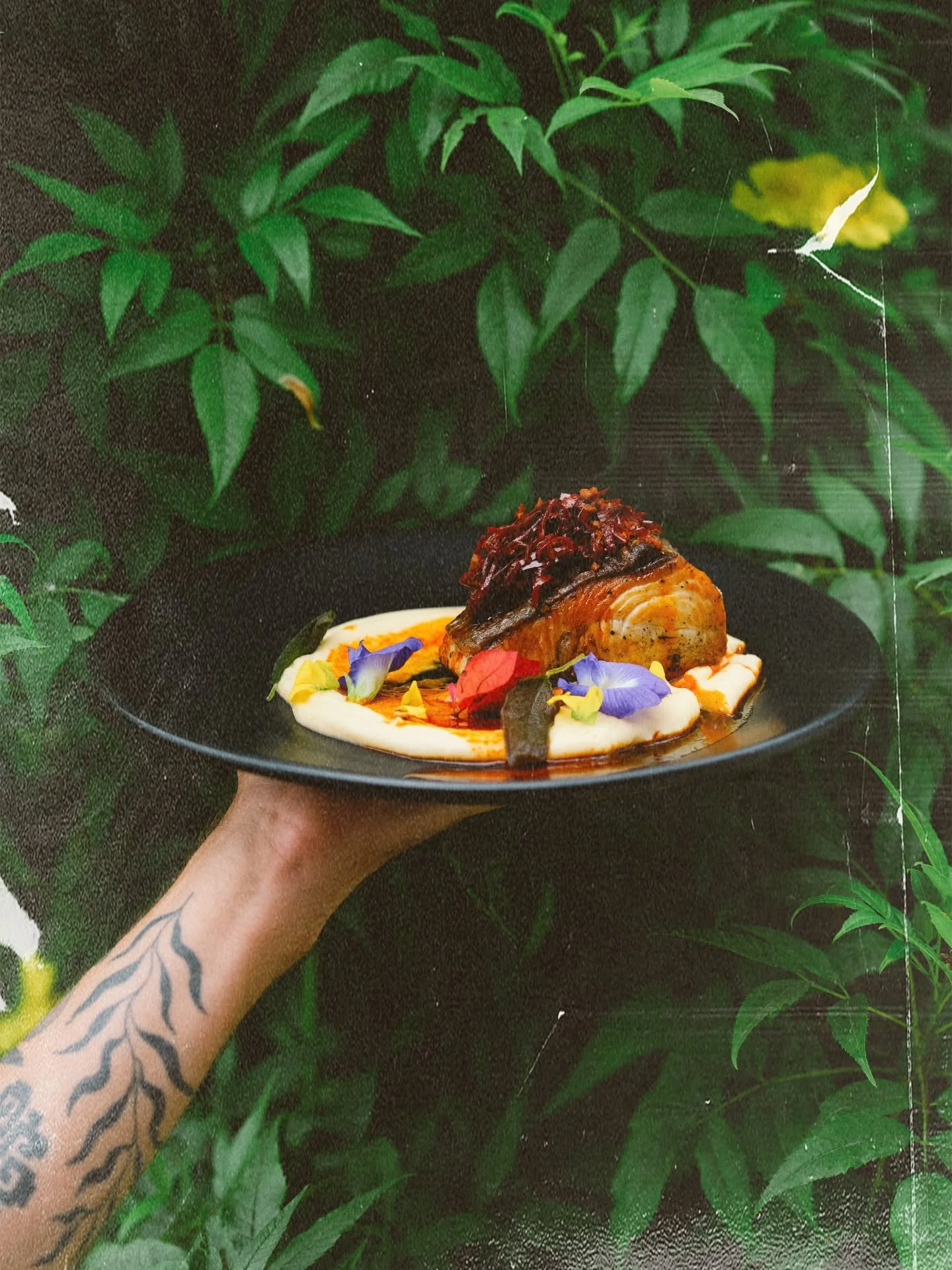 A person with a tattooed arm is holding a black plate with a gourmet dish featuring a piece of cooked fish topped with caramelized onions, garnished with edible flowers, and served with a creamy sauce against a leafy green background.