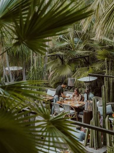 Two people sitting at a table outdoors in a lush, tropical garden with large green palm leaves, while a server stands nearby.