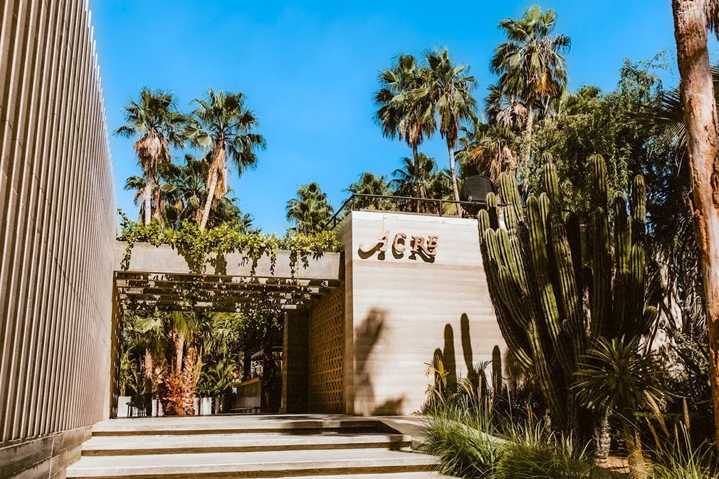 Entrance to a venue with a sign that says 'ACRE', surrounded by tall palm trees and cacti under a clear blue sky.