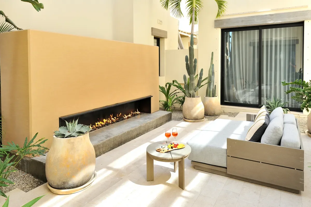 Outdoor patio with a fire feature, large potted cacti, a sofa with pillows, a small round table with two glasses of pink drinks and a cheese plate, and tropical plants, including palm and other green foliage.