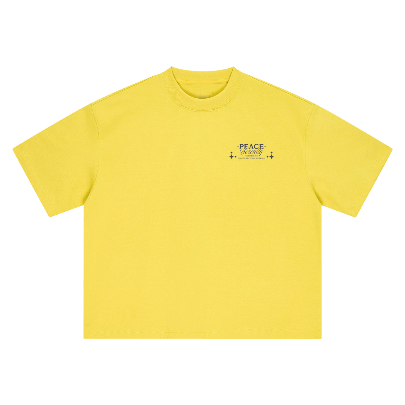 Boxy Oversized T-Shirt-mockups-3 copy.png