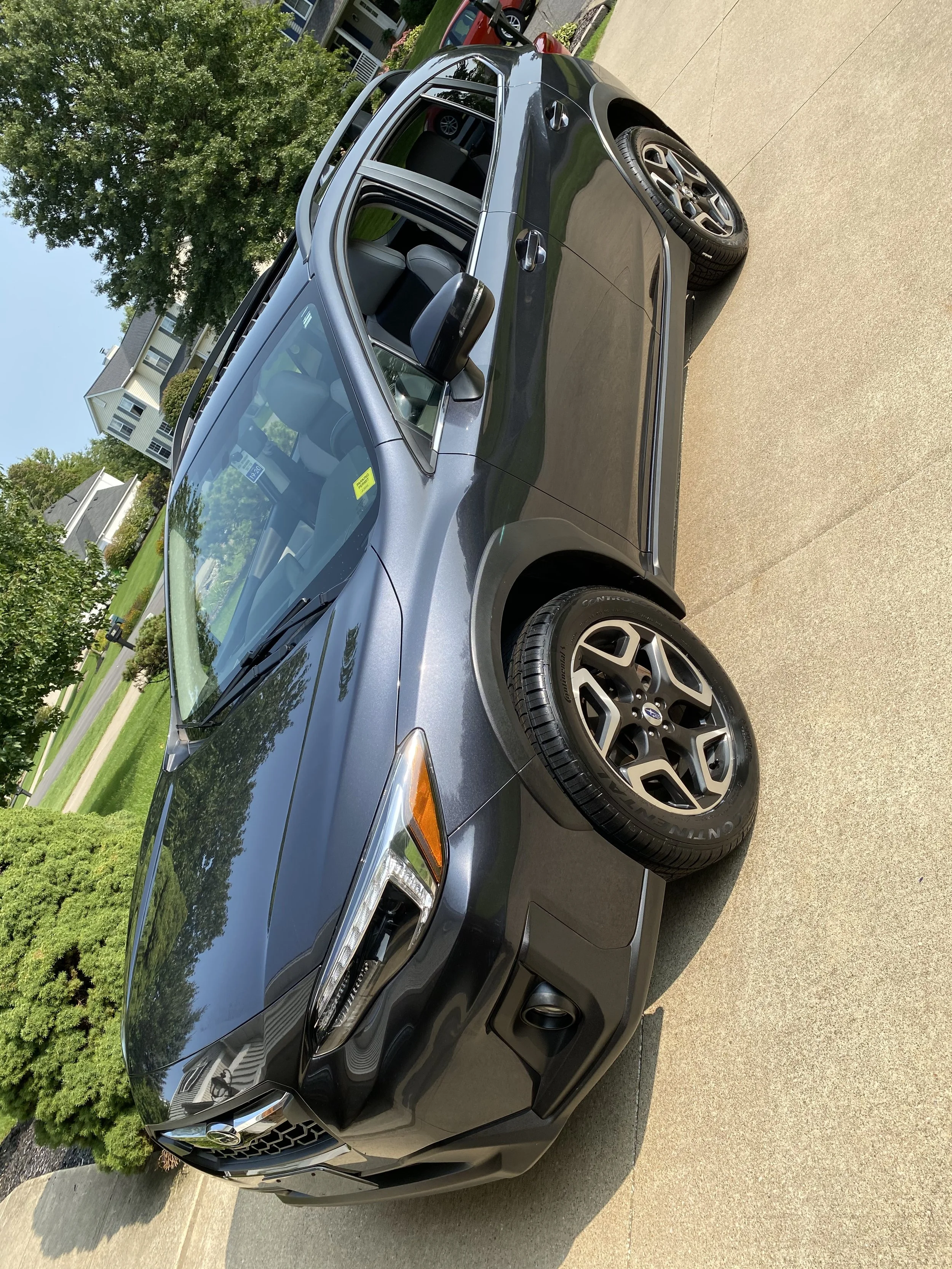 IMG_6659.jpg