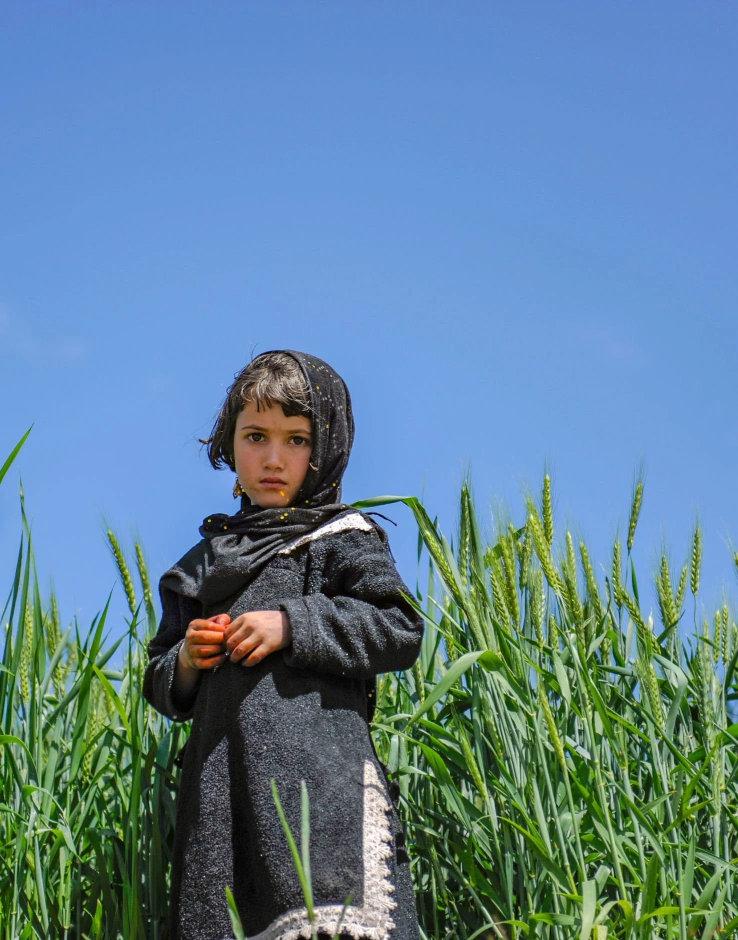 Afghanistan, 2009