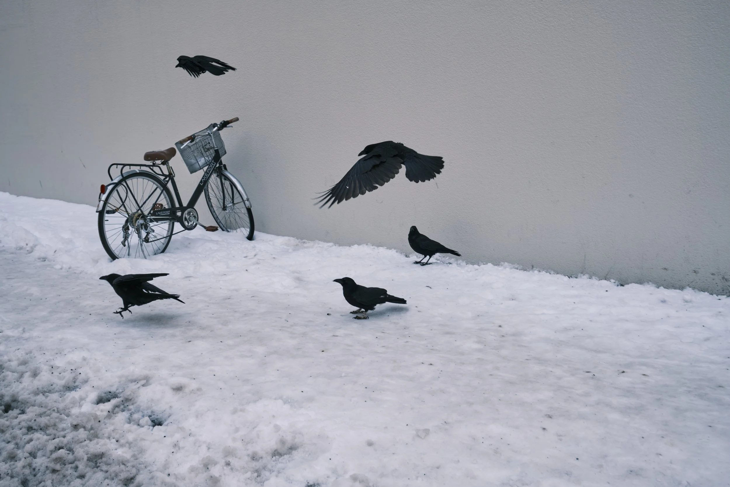 A Time for Everything #1, 2020, 39.4 × 59.1 in (100 × 150 cm)
