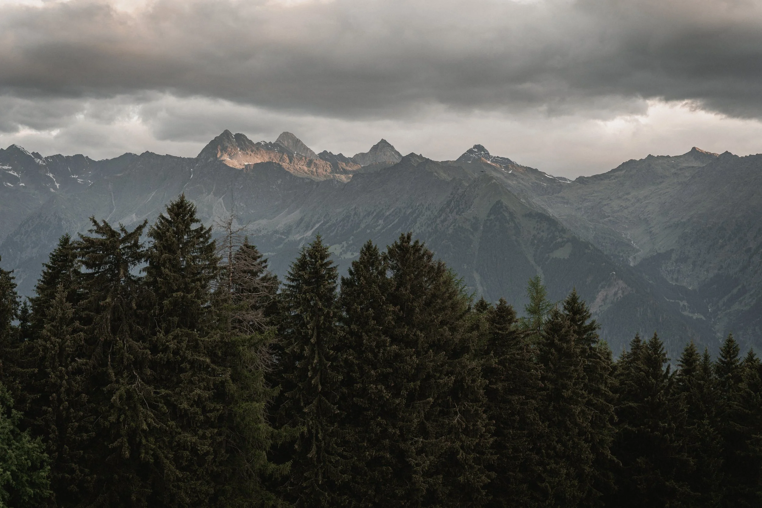 Kitzrettung-(c)FranziskaRafflSteiner-43.jpg