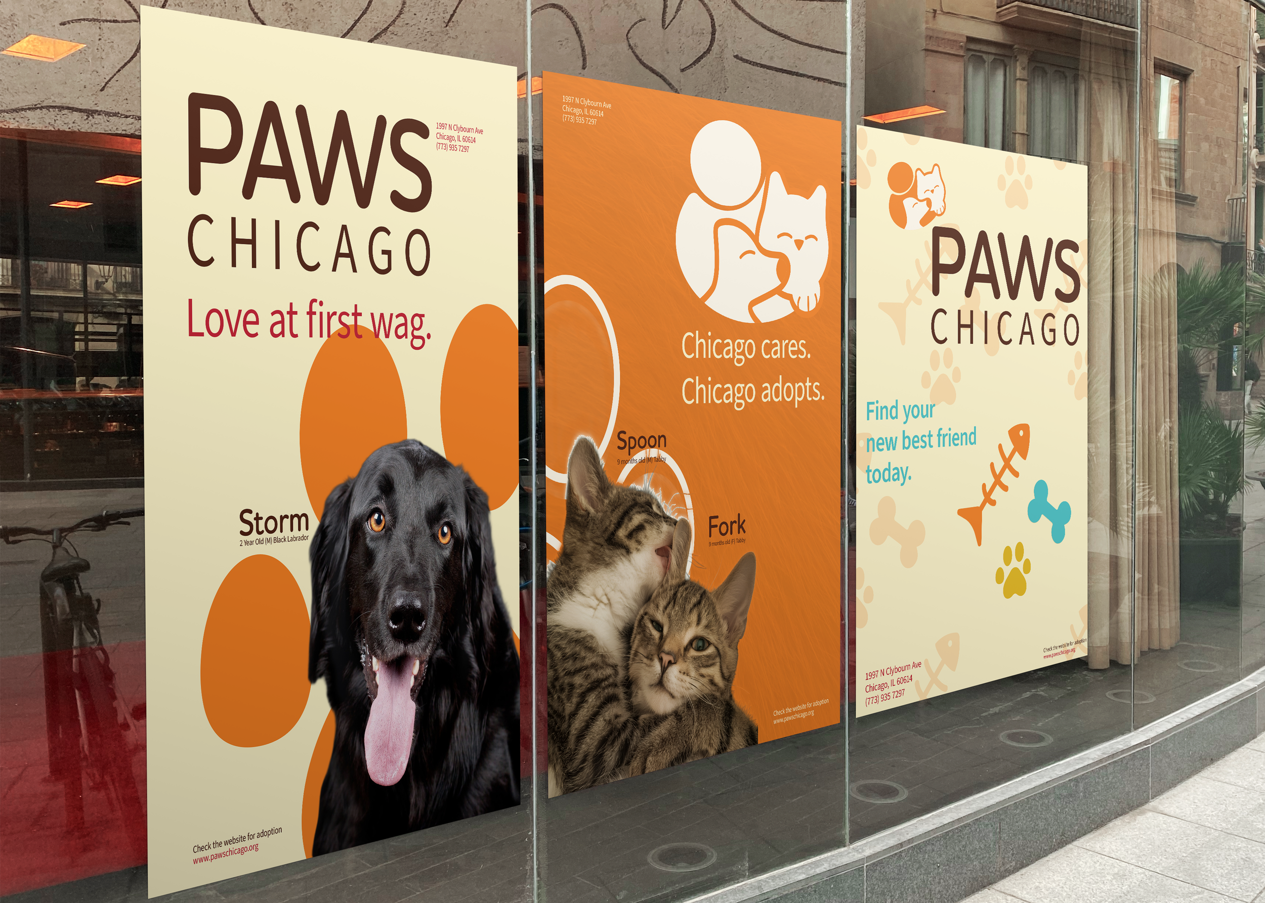 Paws Chicago Rebrand