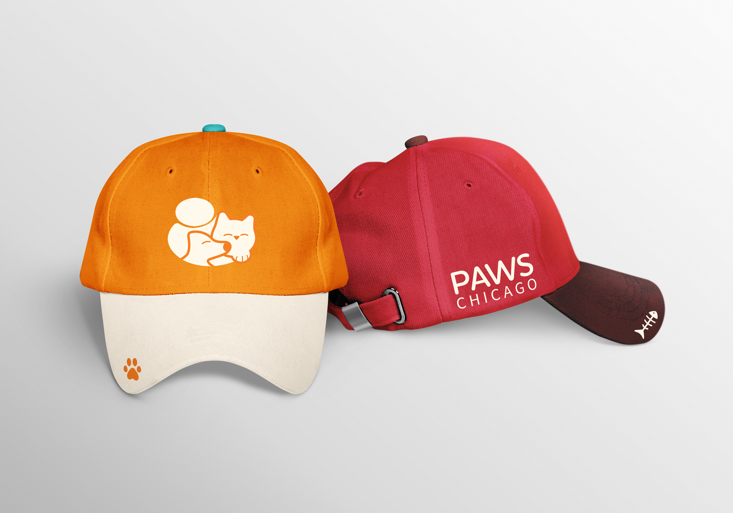 Identity Proj 3 - Paw Chicago-22.png