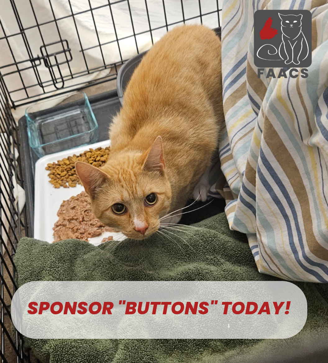 Sponsorship - Buttons