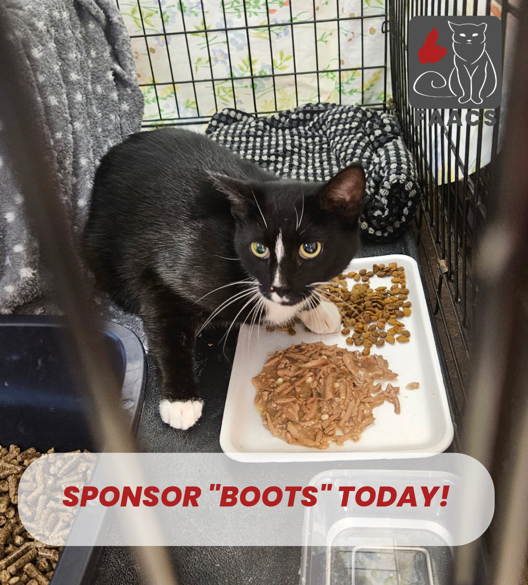 Sponsorship - Boots