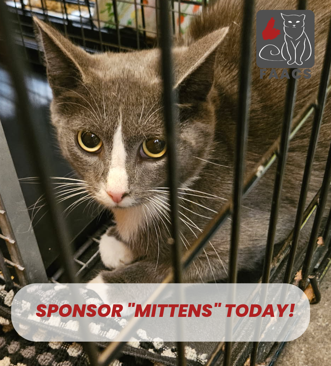 Sponsorship - Mittens