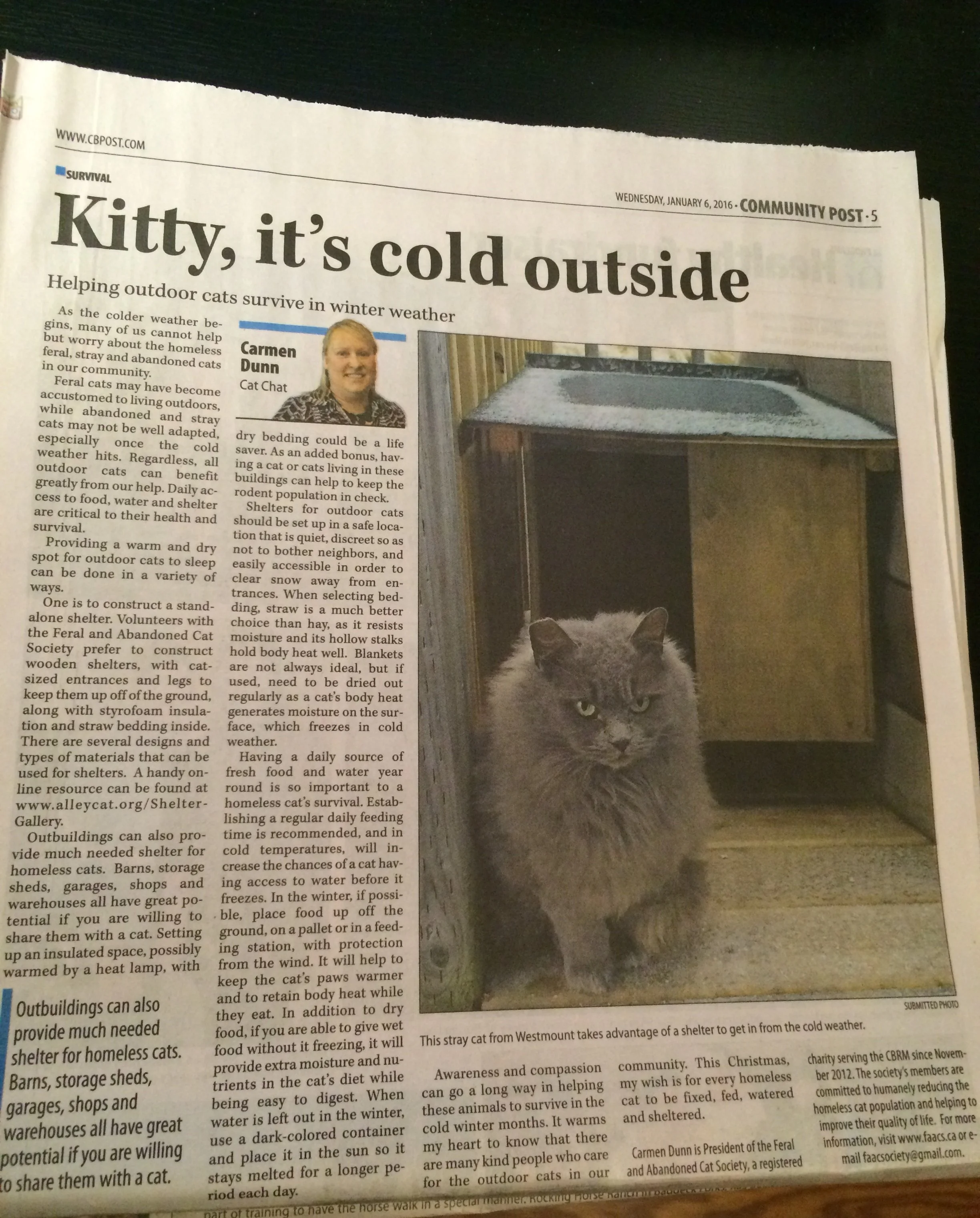 Kitty, it’s cold outside