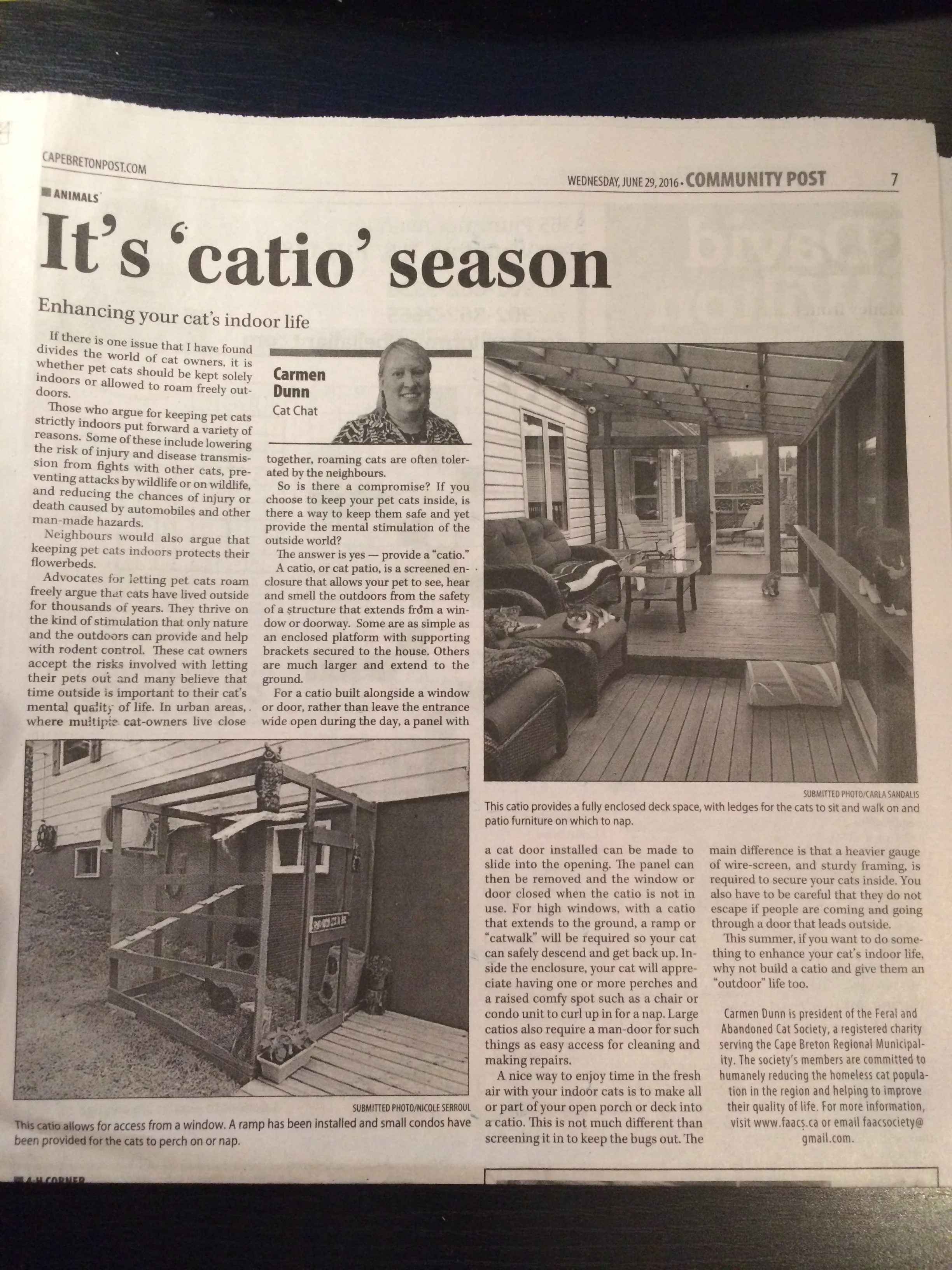It’s ‘catio’ season