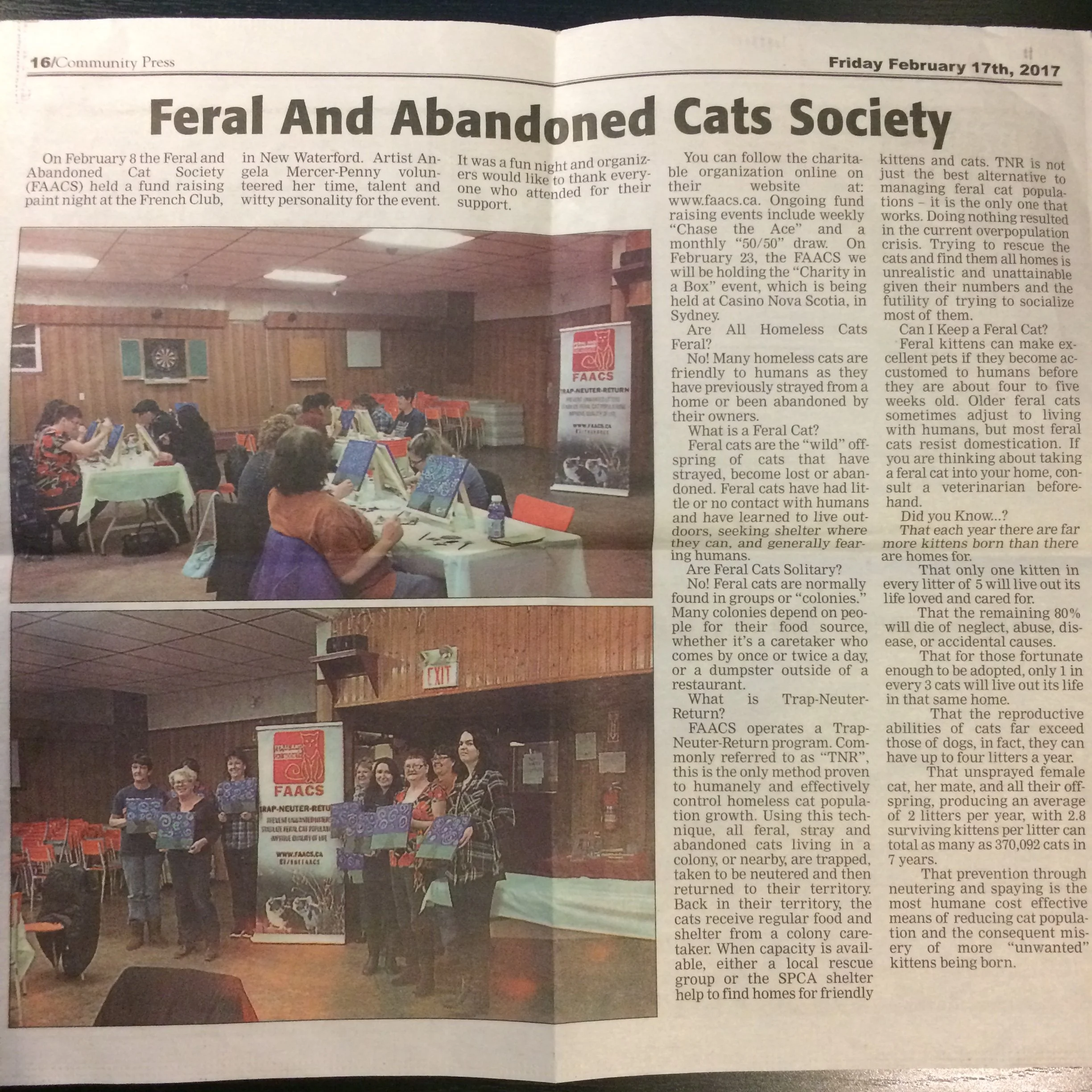 Feral And Abandoned Cats Society