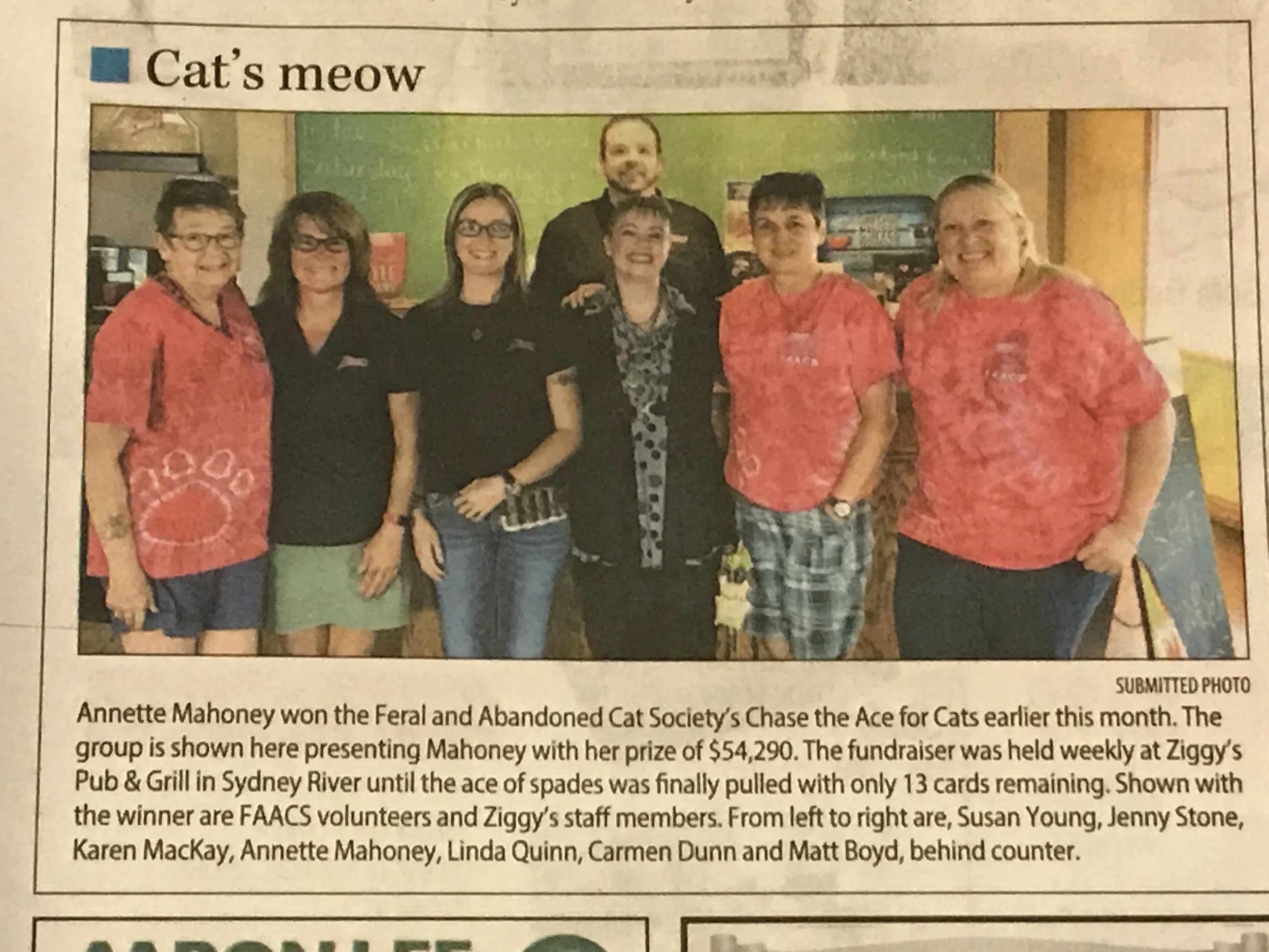 Cat’s meow