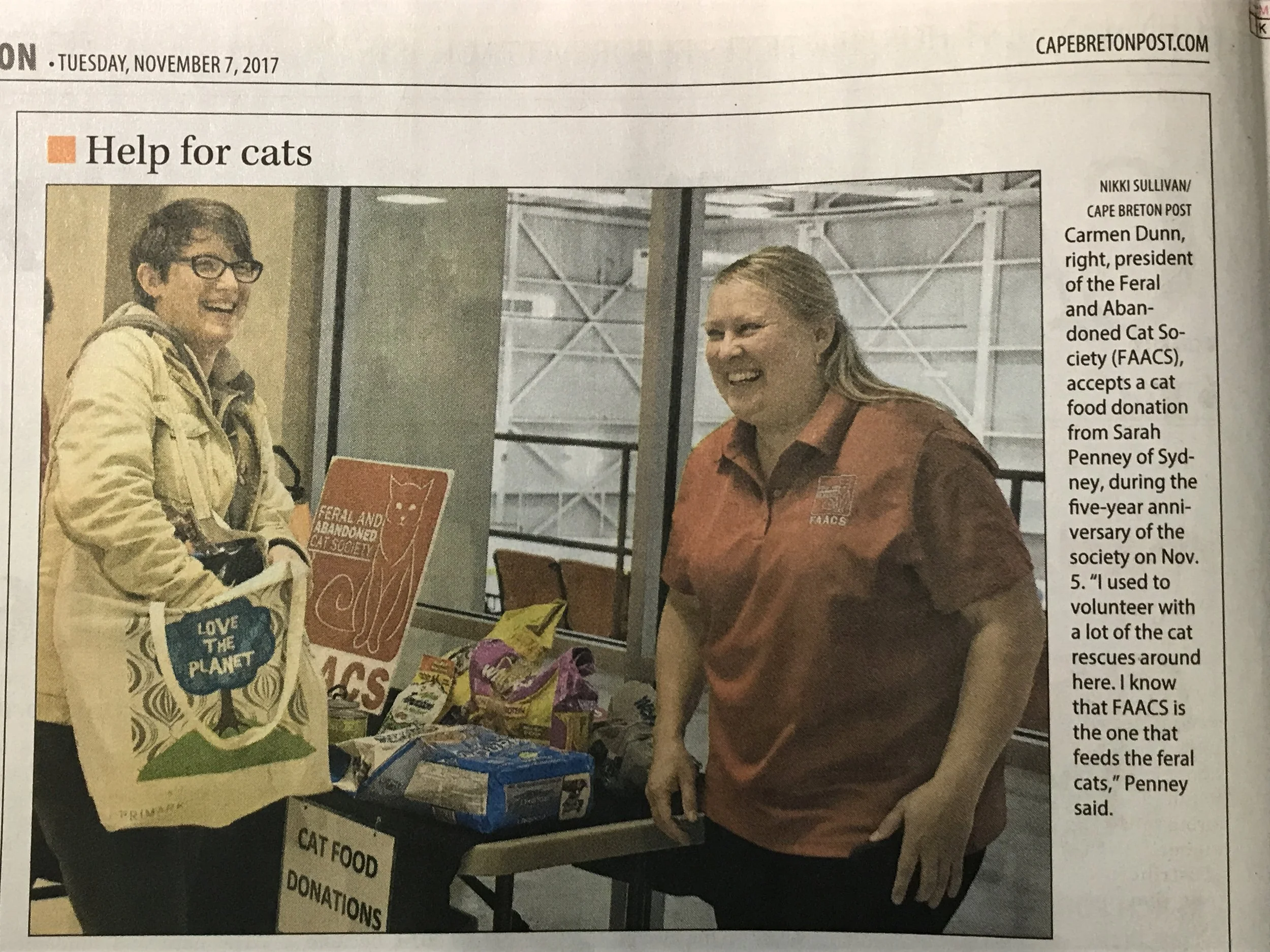 Help for cats
