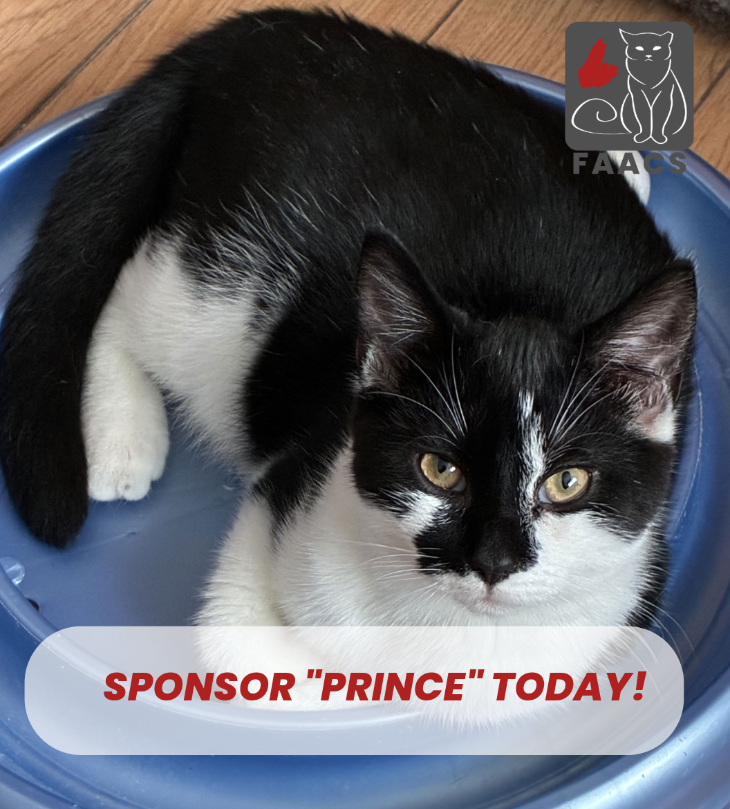 Sponsorship - Prince