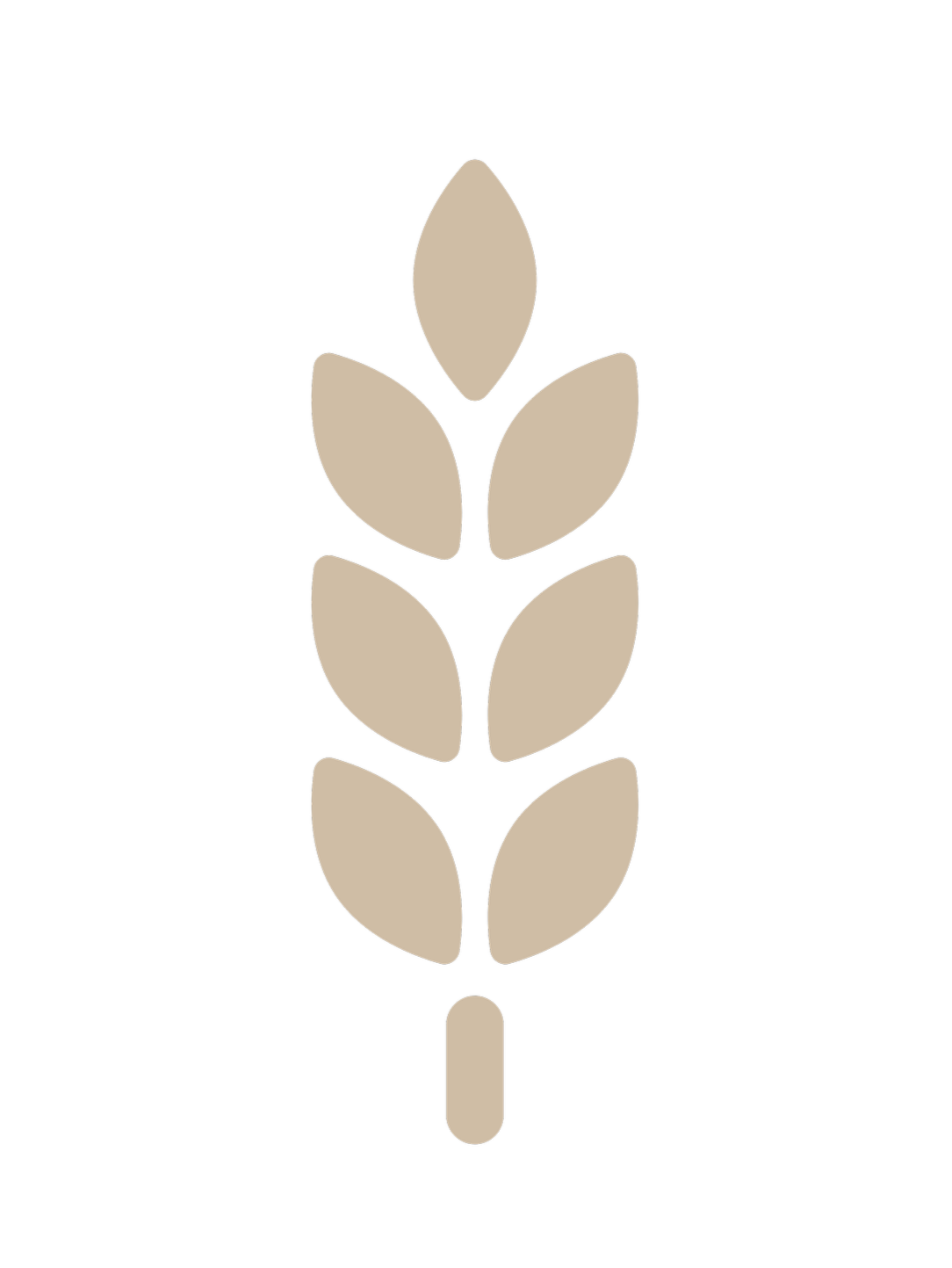 Oat icon - KS Wellness