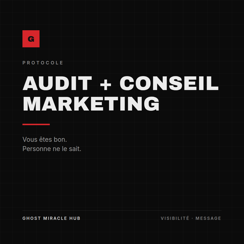 PROTOCOLE : AUDIT + CONSEIL MARKETING