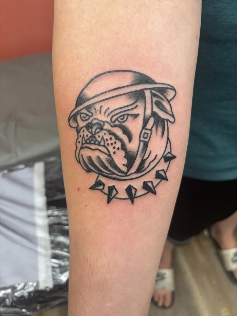Tattoo of a bulldog wearing a helmet with a stern expression, surrounded by a spiked collar. Classic American traditional flash design tattoo.