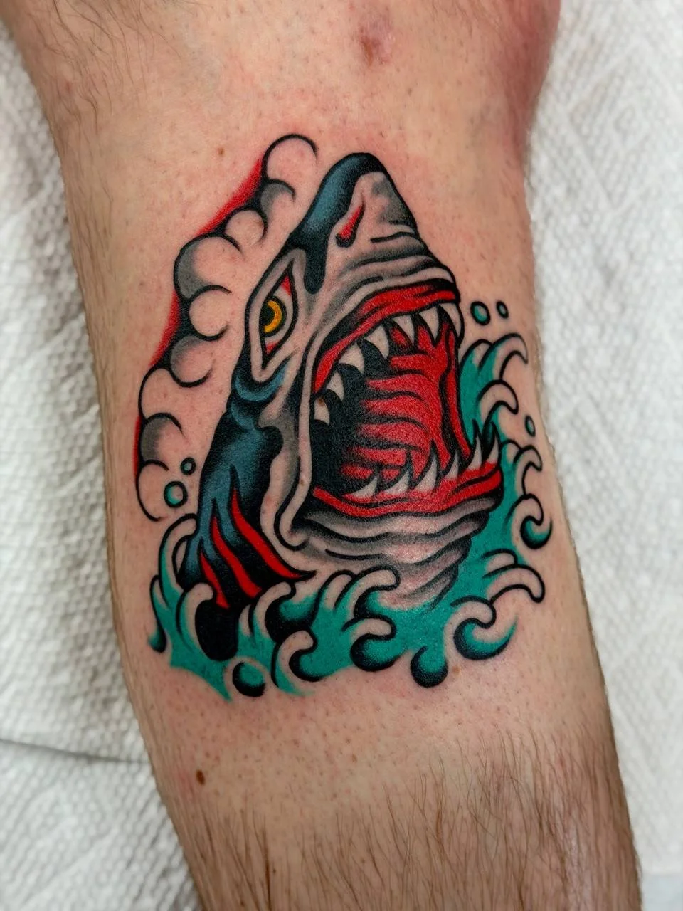 A colourful tattoo of a ferocious shark with its mouth open, surrounded by water and waves. Bold American traditional tattoo.