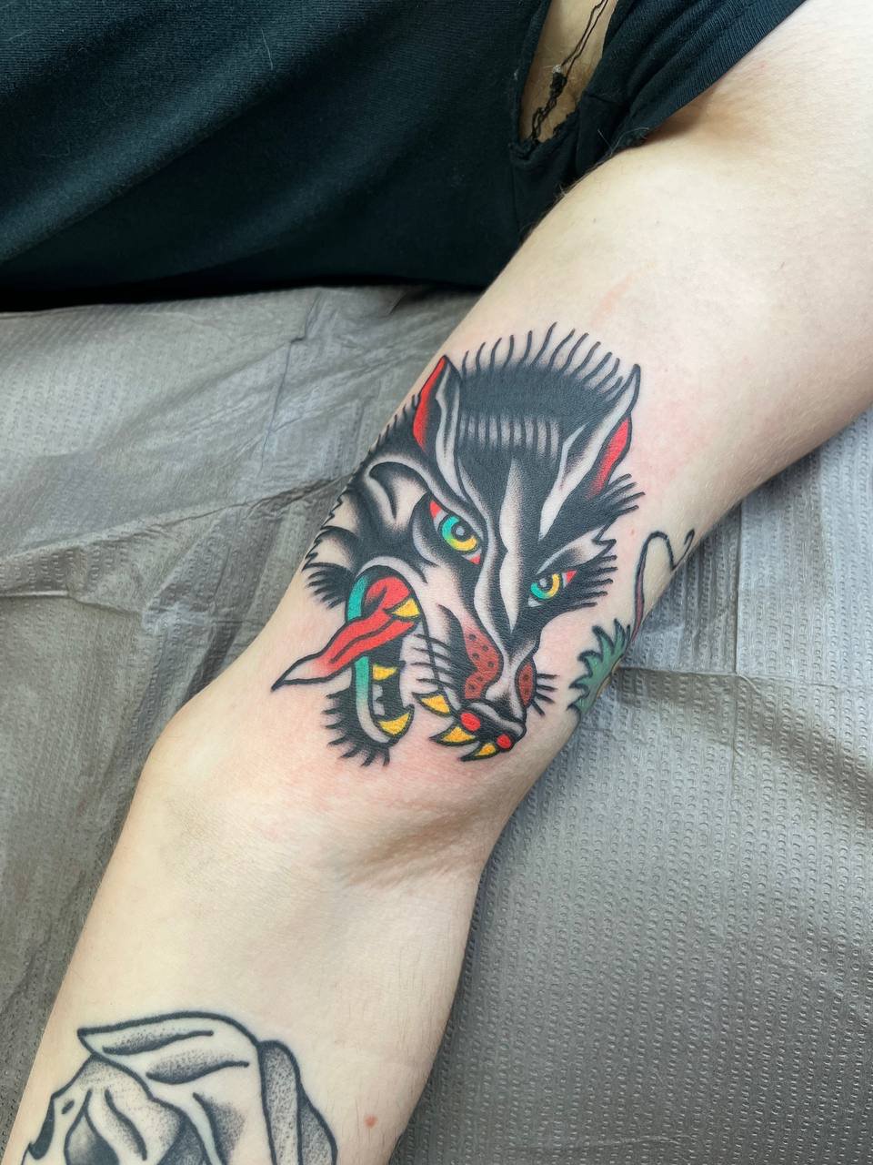 Tattoo of a wolf's head with vibrant colours and a fierce expression on the person's upper arm. Bold American traditional tattoo. Classic flash design.