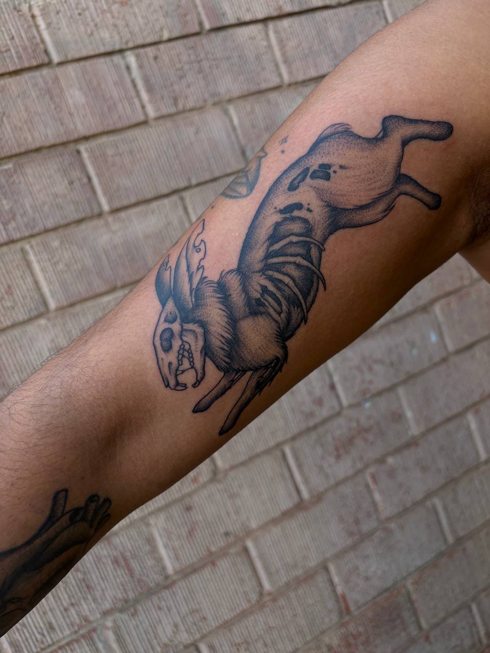 Tattoo of a rabbit skeleton on a person's arm, with detailed shading and line work. Black and grey tattoo.