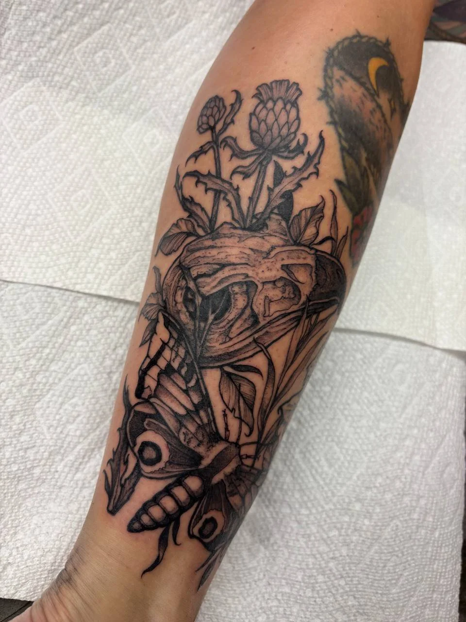 Black and gray tattoo of a moth and a plant with flowers on a person's forearm.